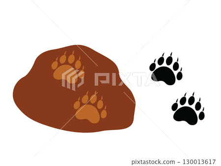 Bear's footprint 130013617