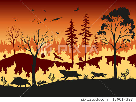 Forest fire. Burning spruces and oak trees, wood plants in flame. Forest fires in Amazon and Australia with silhouettes of wild animals 130014388
