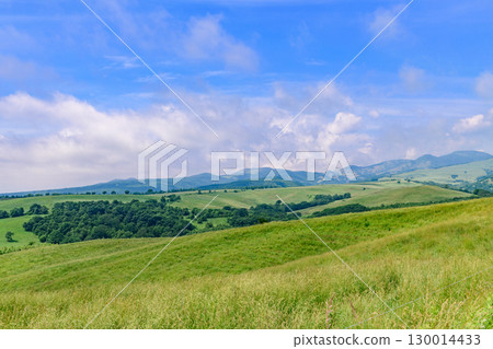 Naitai highland ranch of blue sky 130014433