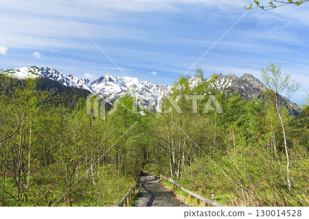 長野縣上高地：從步道上眺望新綠色與穗高山脈 130014528