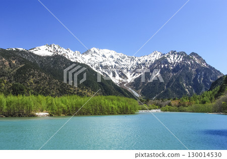 長野縣上高地：從大正池眺望新綠色與穗高山脈 130014530