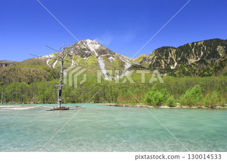 Kamikochi, Nagano Prefecture - Fresh greenery and Mount Yakedake seen from Taisho Pond Kamikochi, Nagano Prefecture - Fresh greenery and Mount Yakedake seen from Taisho Pond 130014533