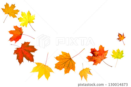 colorful autumn leaves falling, isolated on white background 130014873
