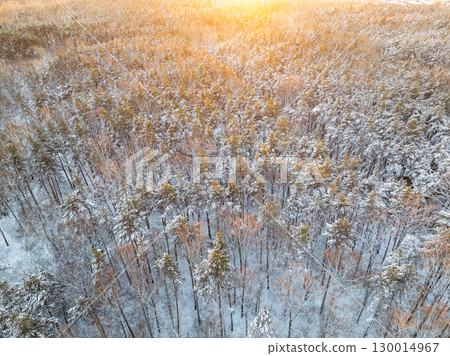 Aerial view of a winter pine forest. Top view of snow-covered pine trees. Beautiful winter forest landscape. Aerial view of a winter pine forest. Top view of snow-covered pine trees. Beautiful winter forest landscape. 130014967