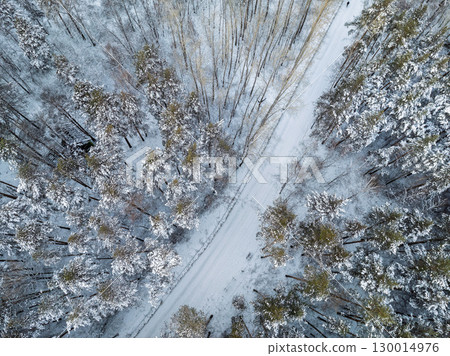 Aerial view of the road in the winter forest with high pine or spruce trees covered by snow. Driving in winter. 130014976