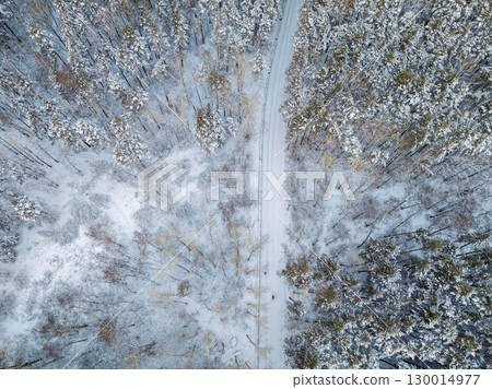 Aerial view of the road in the winter forest with high pine or spruce trees covered by snow. Driving in winter. Aerial view of the road in the winter forest with high pine or spruce trees covered by snow. Driving in winter. 130014977