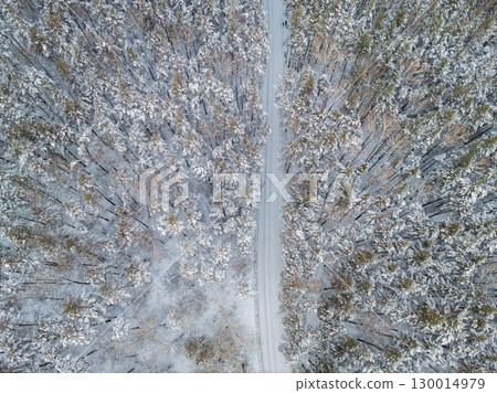 Aerial view of the road in the winter forest with high pine or spruce trees covered by snow. Driving in winter. 130014979