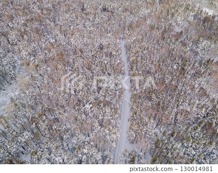Aerial view of the road in the winter forest with high pine or spruce trees covered by snow. Driving in winter. Aerial view of the road in the winter forest with high pine or spruce trees covered by snow. Driving in winter. 130014981
