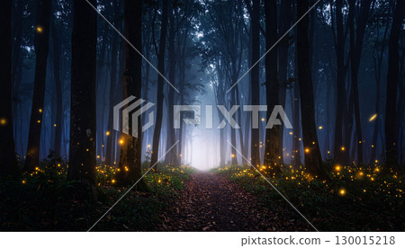 Fireflies illuminating foggy path in dark forest at night 130015218
