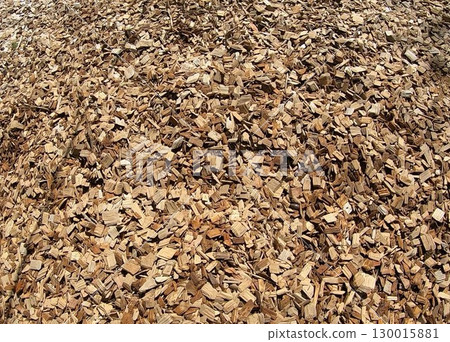 Wood chip 130015881