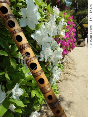 篠笛與杜鵑花 130016420