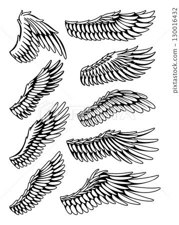 Wings sketch collection. Stylized birds wings. Hand drawn contoured stiker wing in open position. Vector design elements in coloring style 130016432