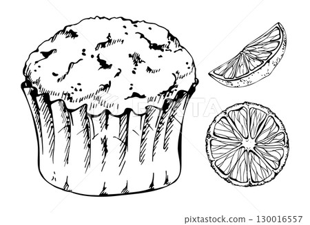 Candied orange slice, cupcake muffin pastry in frilly paper cup wrapper. Hand drawn in vector ink. eco-packaging for artisanal dessert boutiques, confectionery branding visuals, promotional flyers. 130016557