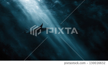 Light shines through the dark sea Light shines through the dark sea 130016632