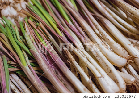Freshly picked island scallions Freshly picked island scallions 130016678