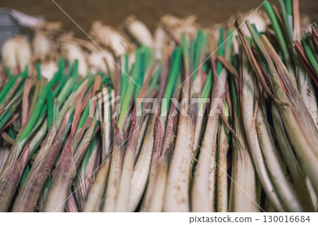 Freshly picked island scallions Freshly picked island scallions 130016684
