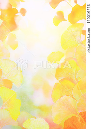 黃色銀杏背景素材 黃色銀杏背景素材 130016758