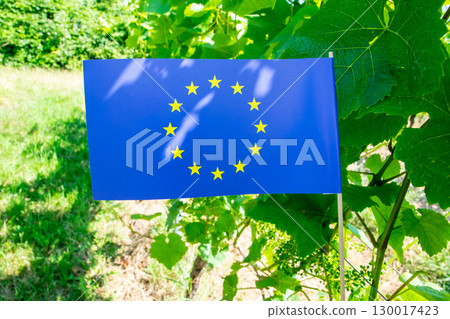 Flag of European Union on the nature background. Flag of European Union on the nature background. 130017423