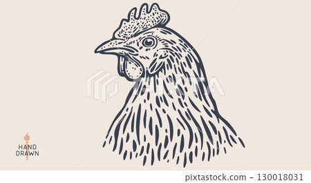 Chicken, farm hen sketch. Hand drawn. Vintage retro print hen, black drawing chicken, engrave old school style. Sketch artwork silhouette rooster, chicken, hen, white background. Vector Illustration 130018031