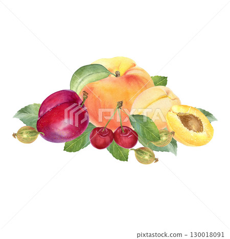 Watercolor illustration of fruits and berries:peach, apricot, plum, cherry, gooseberry.Drawn by hand, isolated on a white background.Suitable for design, printing, labels for juice, compote, jam, etc Watercolor illustration of fruits and berries:peach, apricot, plum, cherry, gooseberry.Drawn by hand, isolated on a white background.Suitable for design, printing, labels for juice, compote, jam, etc 130018091