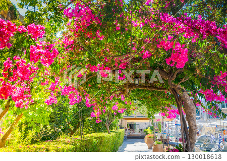 Corfu town, Greece Corfu town, Greece 130018618
