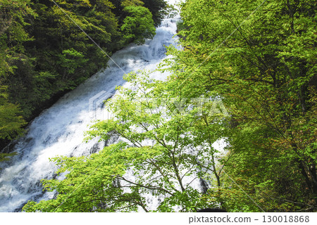 Yunotaki Falls and fresh greenery in Oku-Nikko, Tochigi Prefecture 130018868