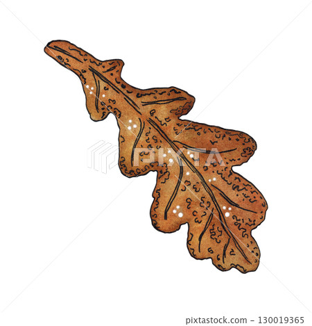 Autumn brown oak leaf. Watercolor hand drawn illustration. Drawing for stickers, cards, scrapbooking. Plants, autumn, leaf fall, oak, leaf Autumn brown oak leaf. Watercolor hand drawn illustration. Drawing for stickers, cards, scrapbooking. Plants, autumn, leaf fall, oak, leaf 130019365
