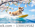 Surfing dog 130019582