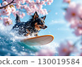 Surfing dog 130019584
