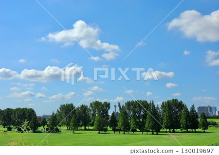 草坪、樹木和藍天的風景 130019697