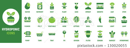 Hydroponic icon set. Containing plant, water, nutrient, root, sprout, leaf, light, pump, tank, tray, harvest and more. Solid vector icons collection 130020055