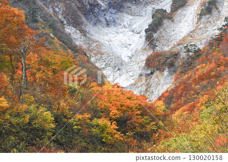 群馬縣水上町一倉澤的秋葉 群馬縣水上町一倉澤的秋葉 130020158