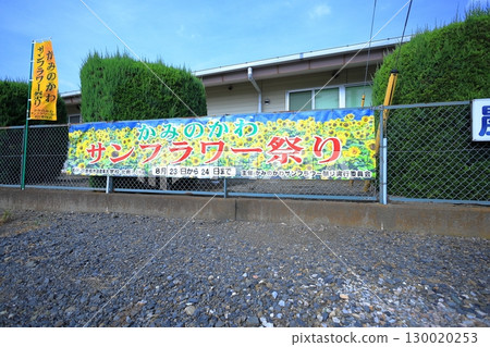 向日葵節／栃木縣上川町 130020253