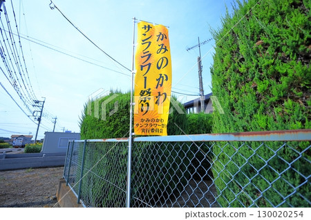 向日葵節／栃木縣上川町 130020254