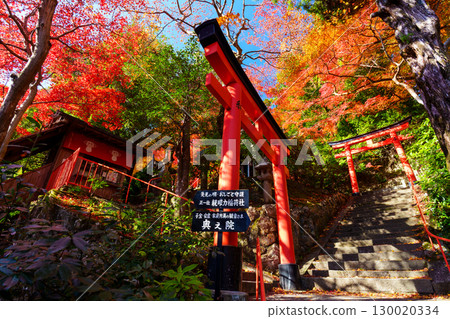 Ganriki Inari Shrine - Red torii gate surrounded by autumn leaves 130020334