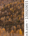 Autumn in the mountains. Altai Mountains 130020655