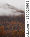 Autumn in the mountains. Altai Mountains 130020661