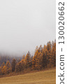 Autumn in the mountains. Altai Mountains 130020662