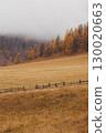 Autumn in the mountains. Altai Mountains 130020663