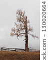 Autumn in the mountains. Altai Mountains 130020664