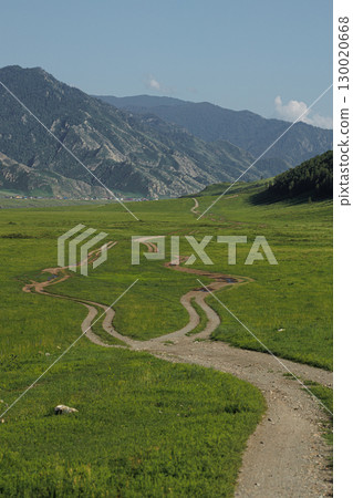 Altai Mountains covered with green grass. Nature photo Altai Mountains covered with green grass. Nature photo 130020668