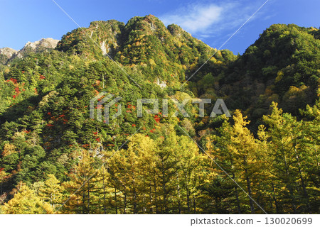 Autumn leaves seen from Kappa Bridge in Kamikochi, Nagano Prefecture 130020699