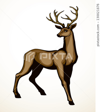 Beautiful noble deer. Vector drawing 130021876