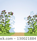 Big blooming burdock. Vector drawing 130021884
