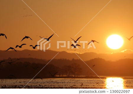 馬根的飛行 130022097