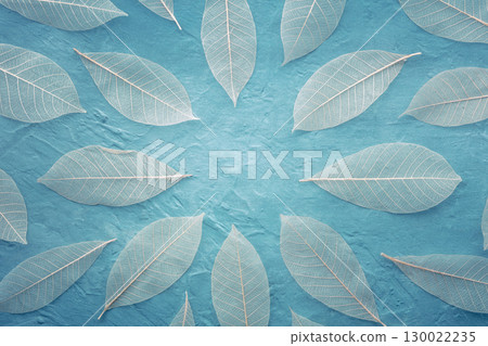 Autumn leaves frame on a teal blue background. Skeleton leaves with copy space 130022235
