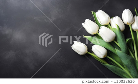 Elegant white tulips on dark background 130022626