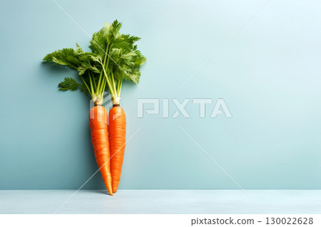 Two fresh carrots with green leaves on light blue background with copy sace 130022628