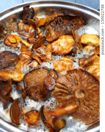 Boiling Mushrooms in a Metal Pot with Bubbles and Steam for a Savory Dish 130022786