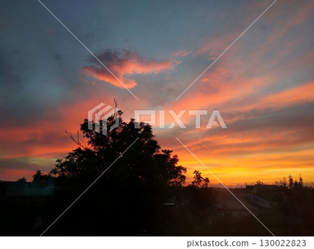 A Stunning Sunset with a Silhouetted Tree Against a Vibrant Pink and Orange Sky A Stunning Sunset with a Silhouetted Tree Against a Vibrant Pink and Orange Sky 130022823